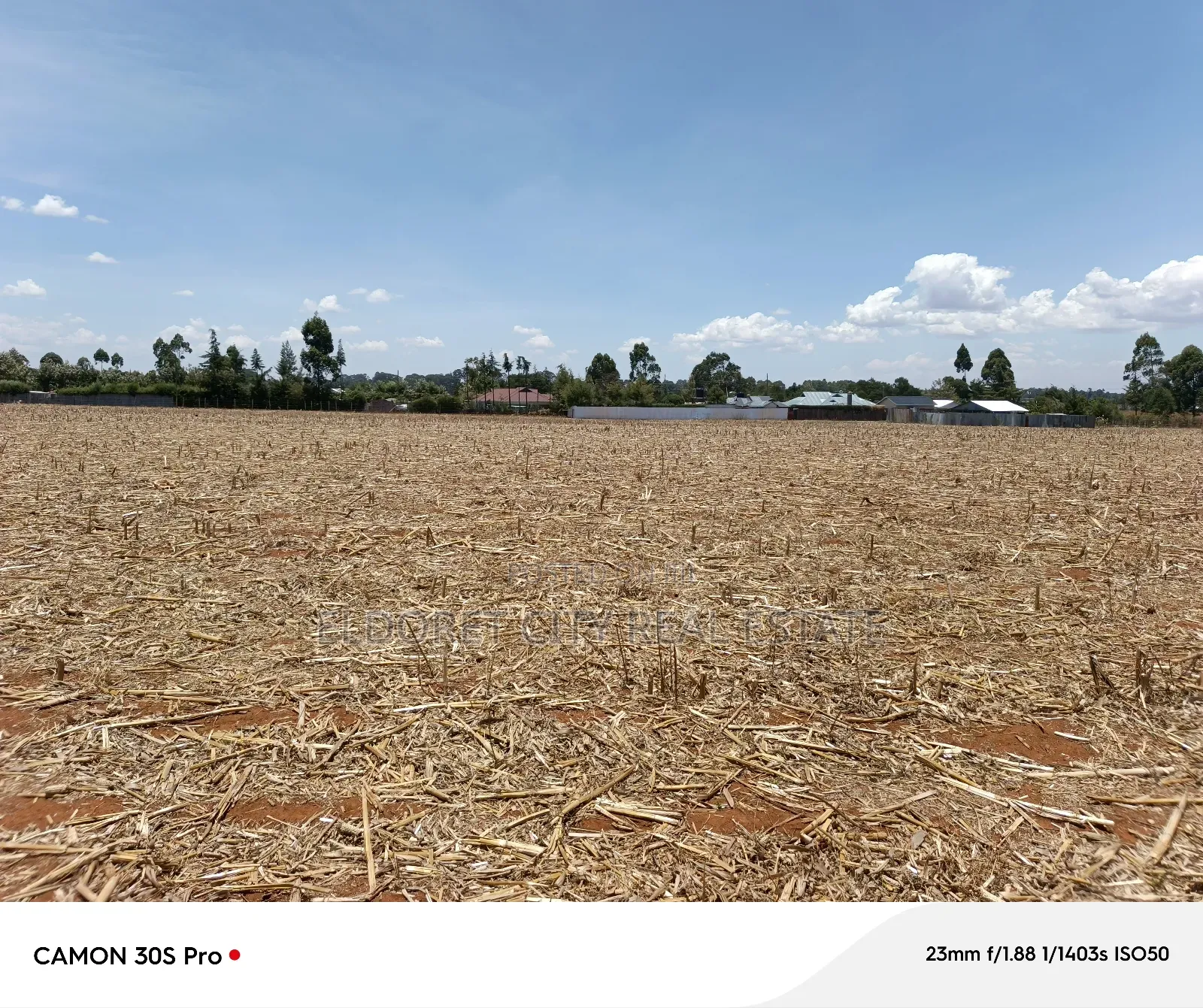 1/8 Plot Marura Chemaluk Area.