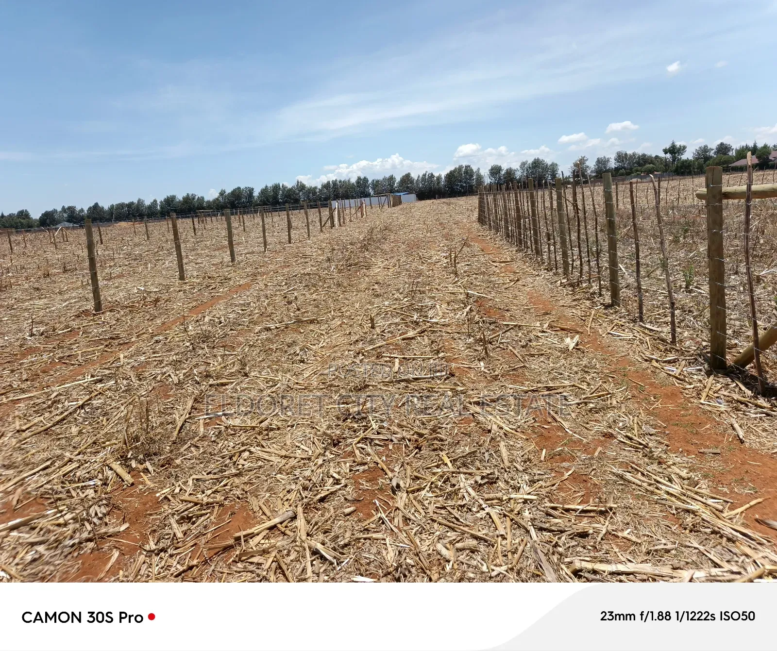 1/8 Plot Marura Chemaluk Area.