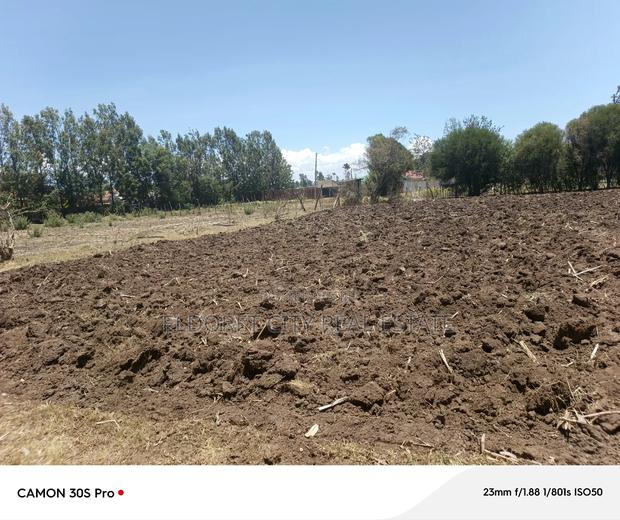 1/8 Plot Kimumu Ideal for Rental