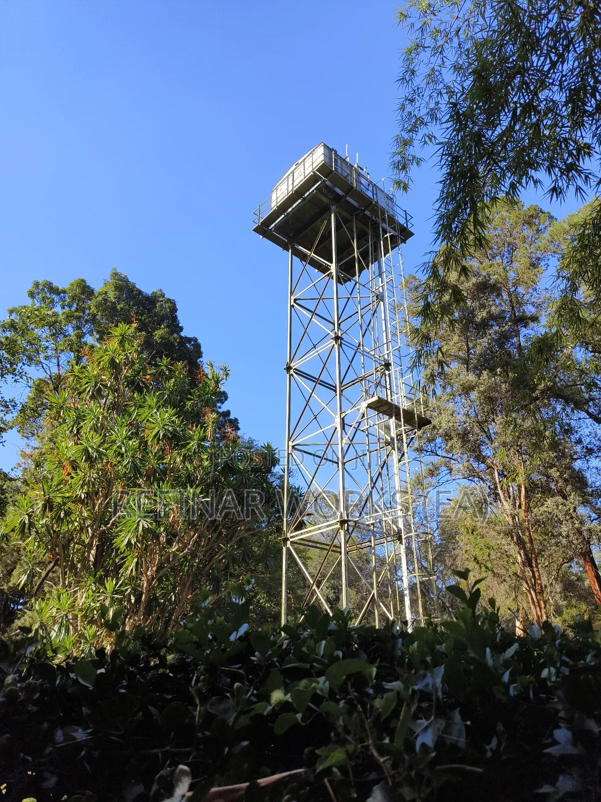 Custom Steel Water Tower Fabrications