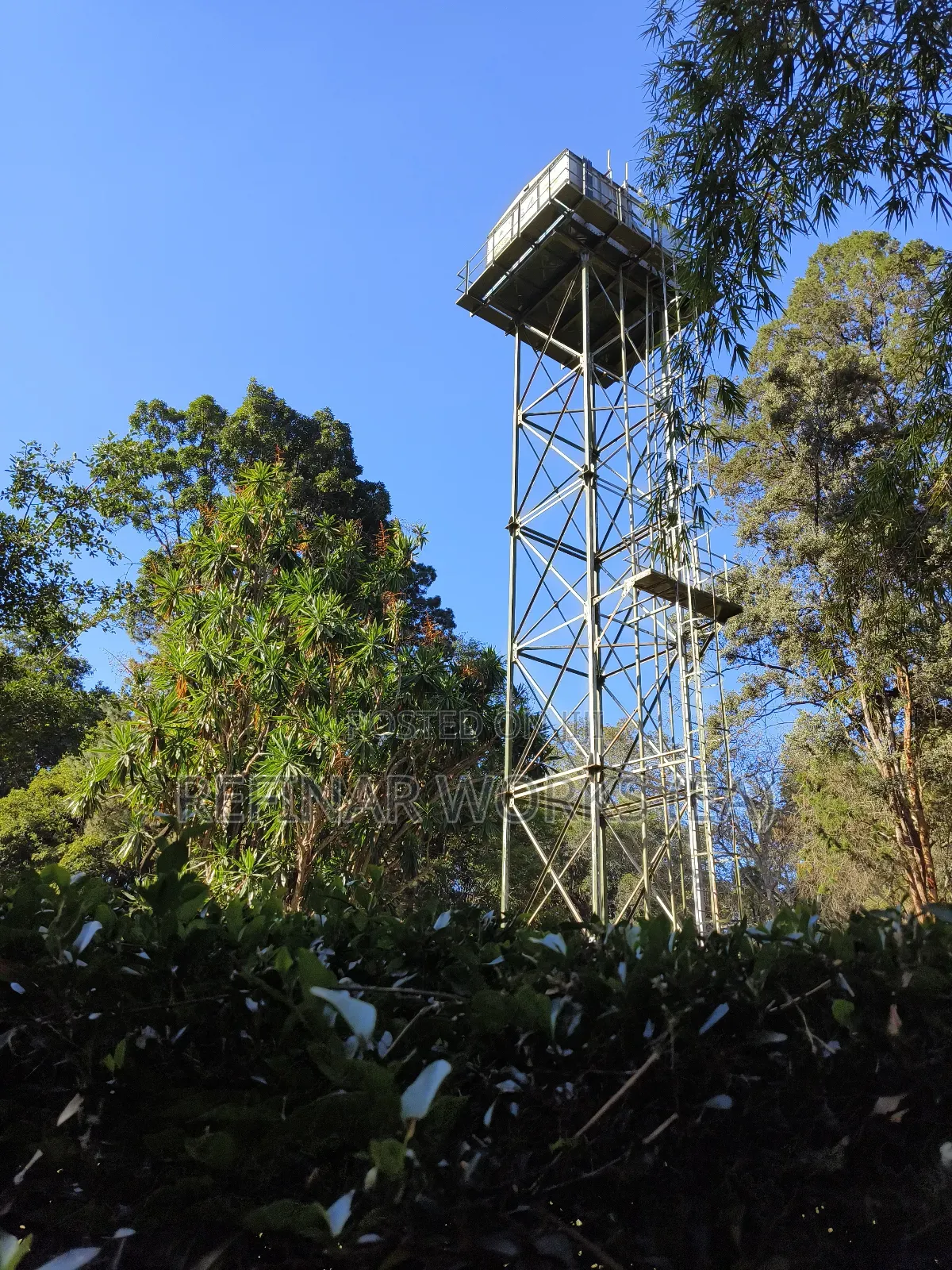 Water Tower Construction Services