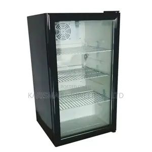 Compact Frozen Refrigerator