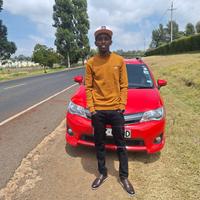 STIAN AUTO SPARES logo