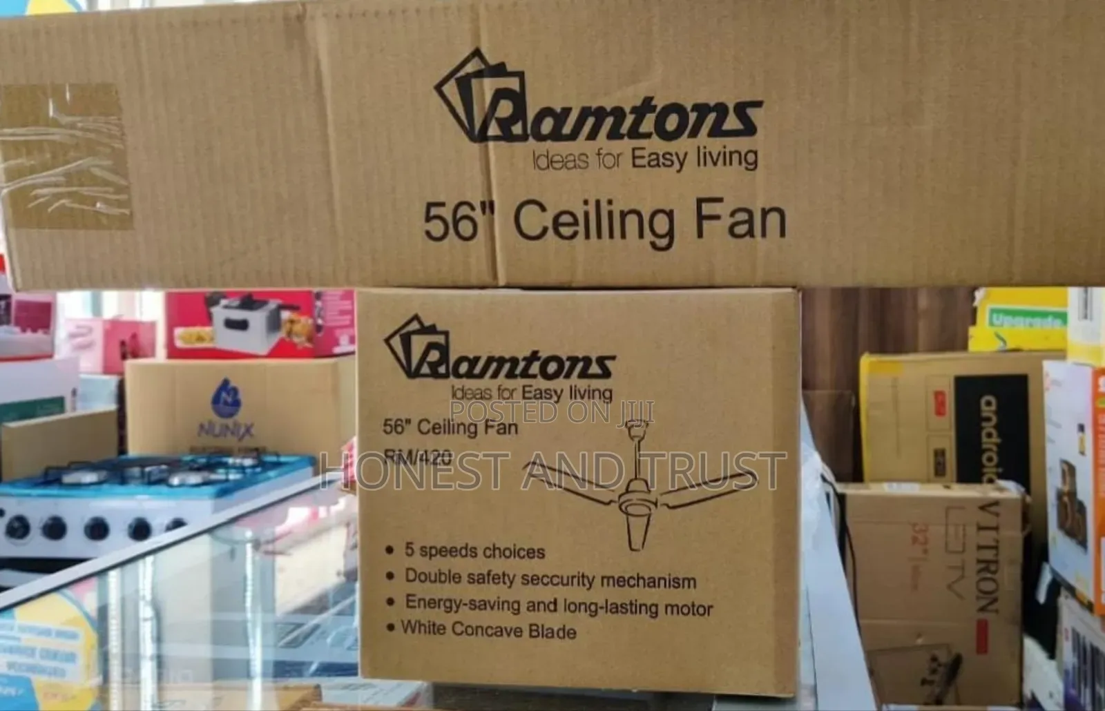 Ramton Ceiling Fan