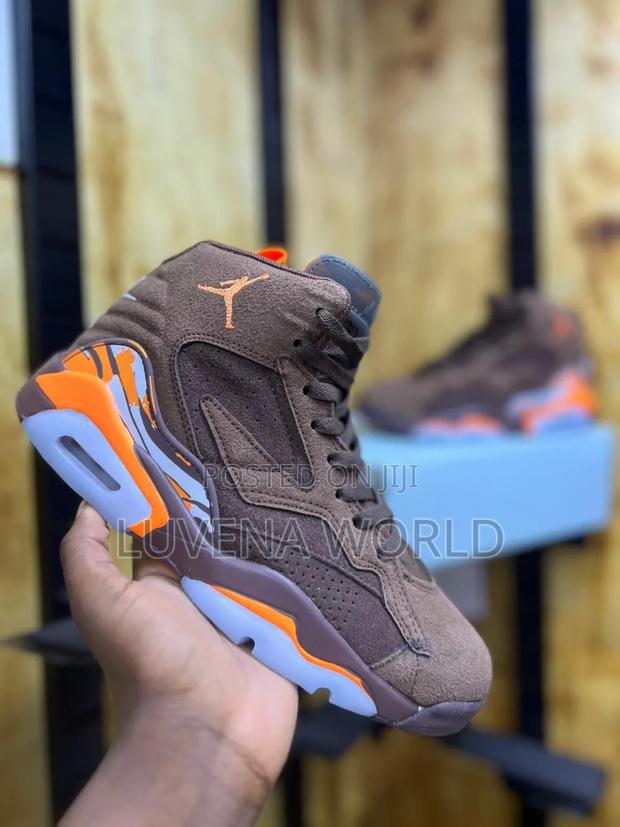 Jordan Raptors - main view