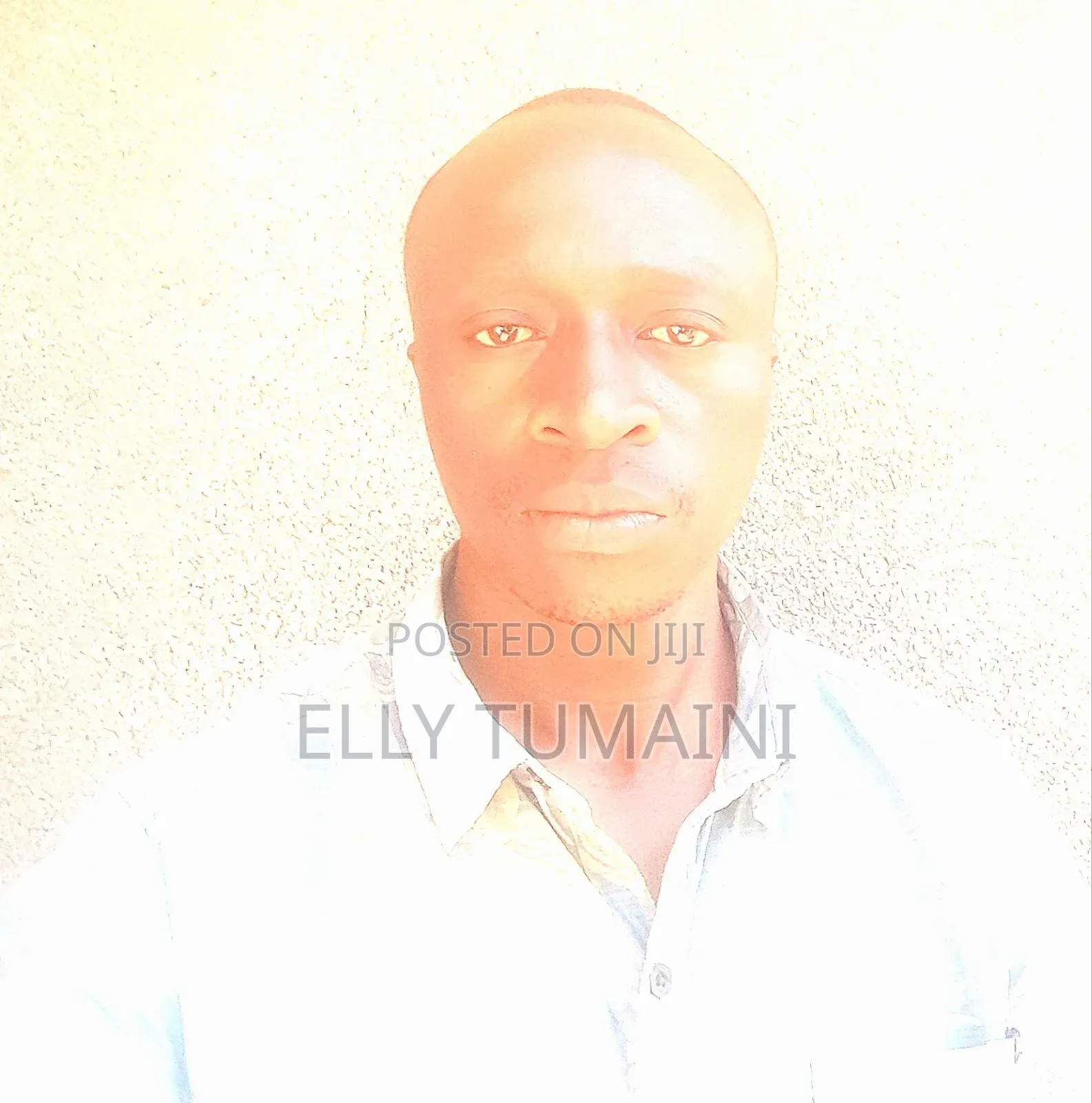 Quantity Surveyor