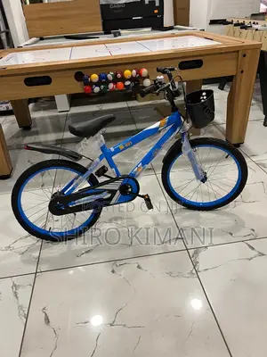 Best New Quality Bicycle for Kids