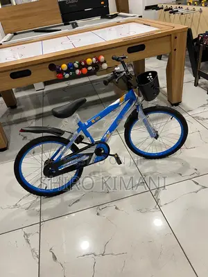 Best New Quality Bicycle for Kids