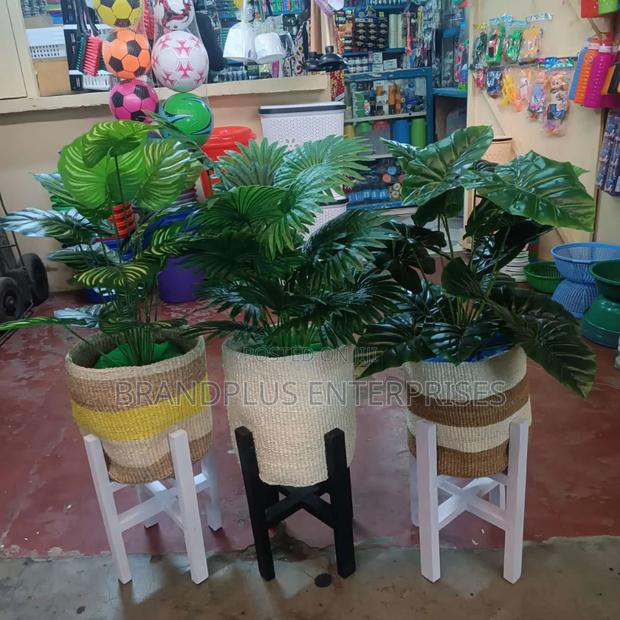 Flower Decorations