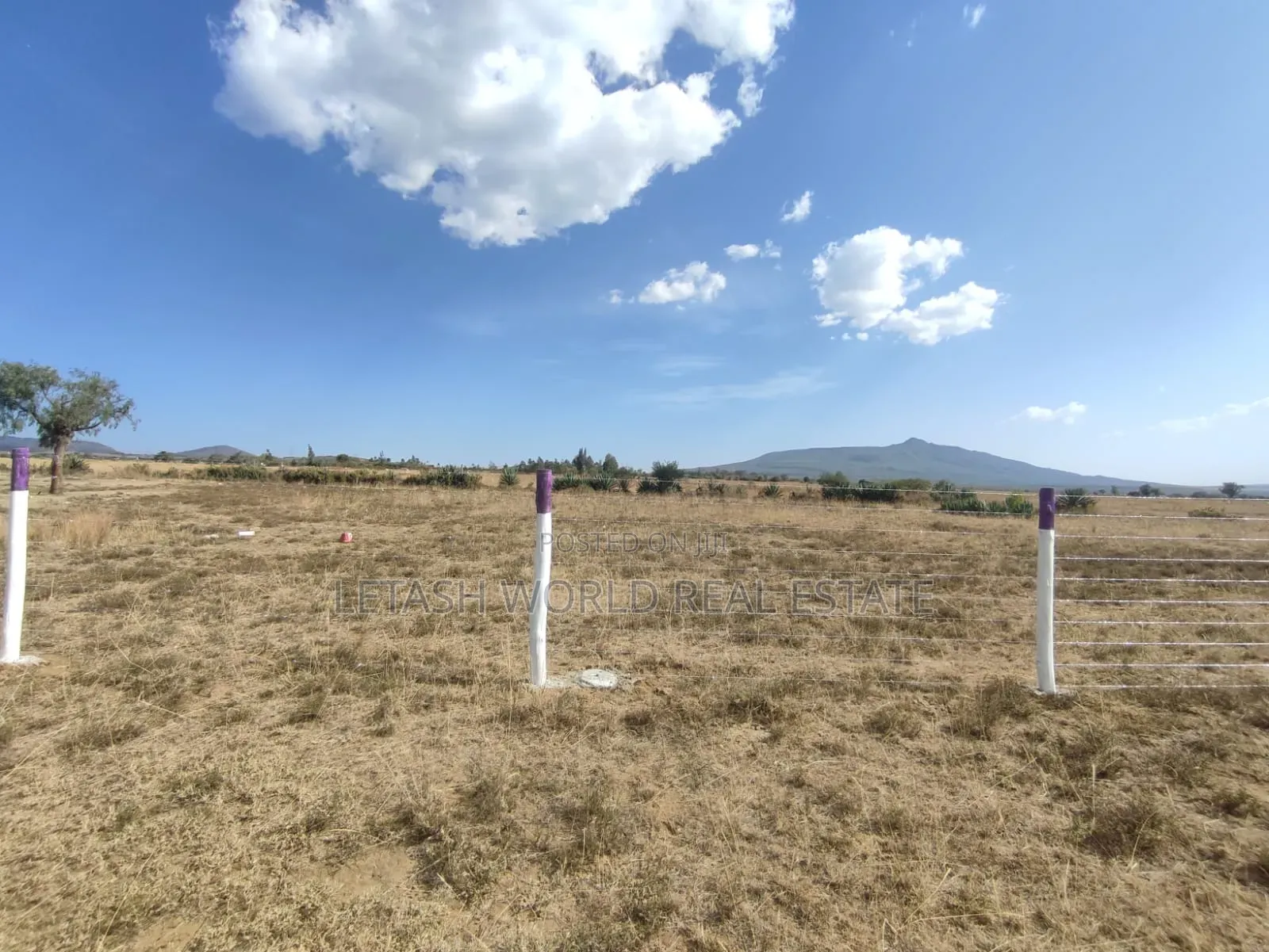 50 by 100 Plots in Naivasha, With a View of Mt Longonot