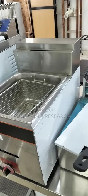 Imported Gas Fryer 8l