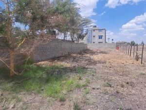 50 by 100 at Sabaki in a Gated Court
