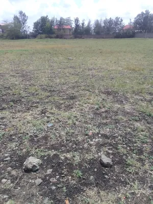 5 Acres at Sabaki for Sale