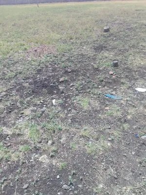 5 Acres at Sabaki for Sale