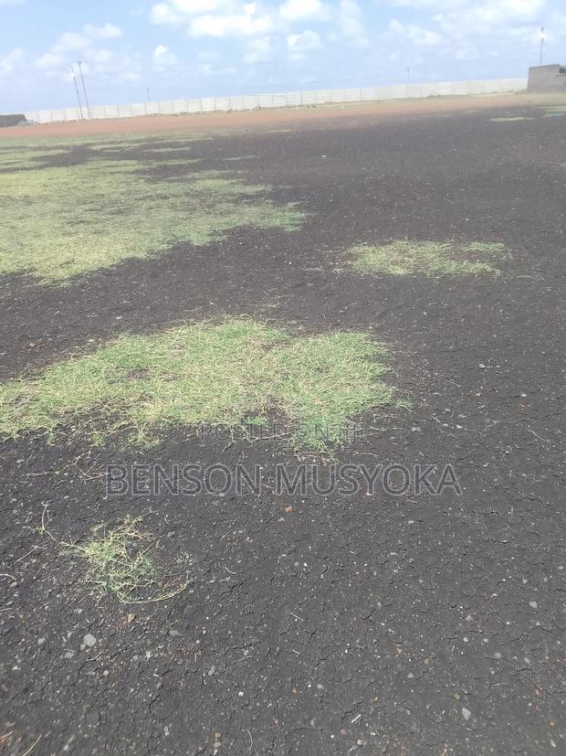 5 Acres at Sabaki for Sale - thumbnail 4