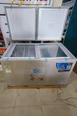 Roch 345 Litres With Double Door Deep Freezer