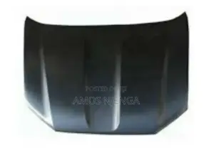Toyota Land Cruiser Prado Fj 150 Bonnet
