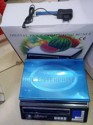 Digital Weighing Scale 30kg/Acs 30kg Flat Scale