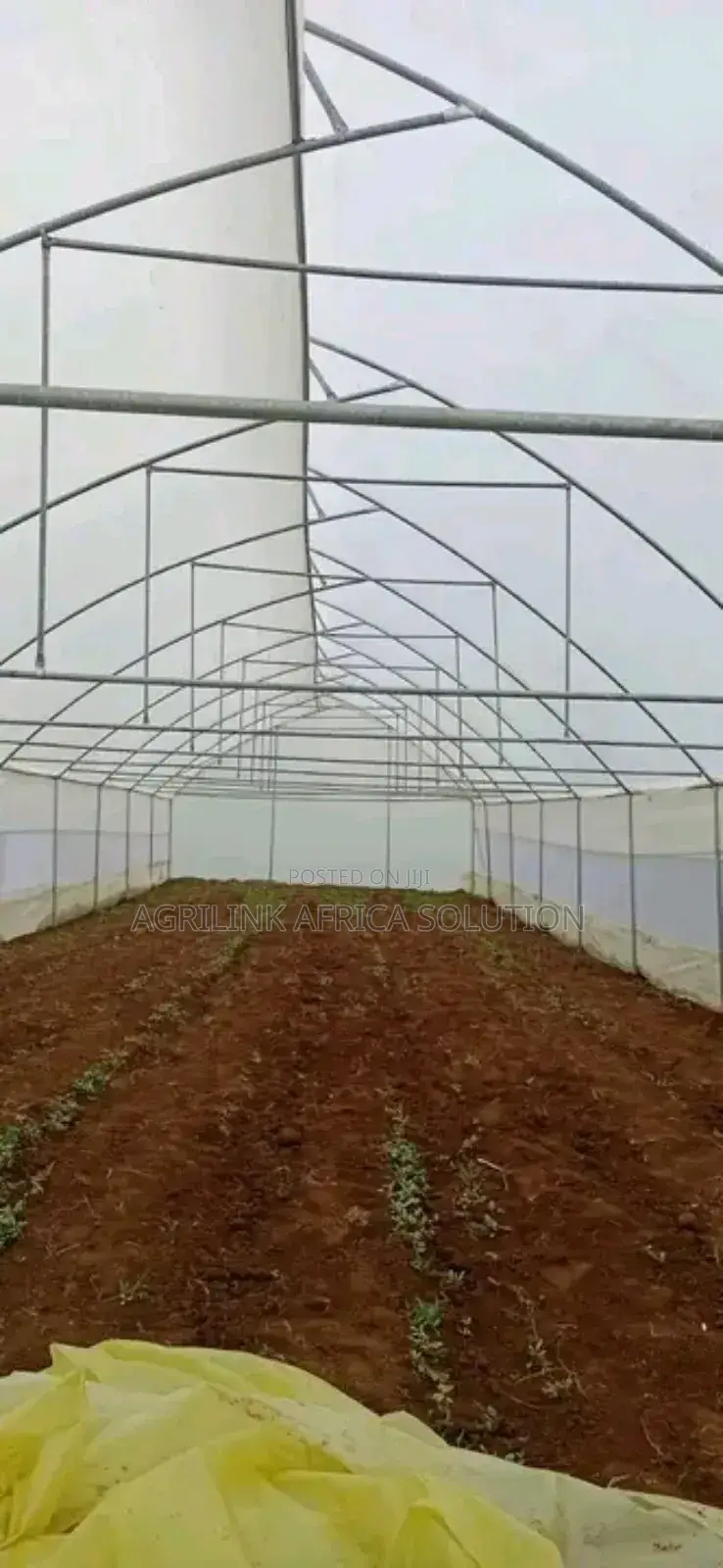 Greenhouse Galvanized 8*15m