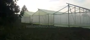 Greenhouse Galvanized 8*15m