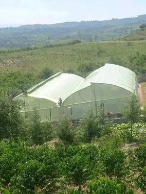 Greenhouse Galvanized 8*15m