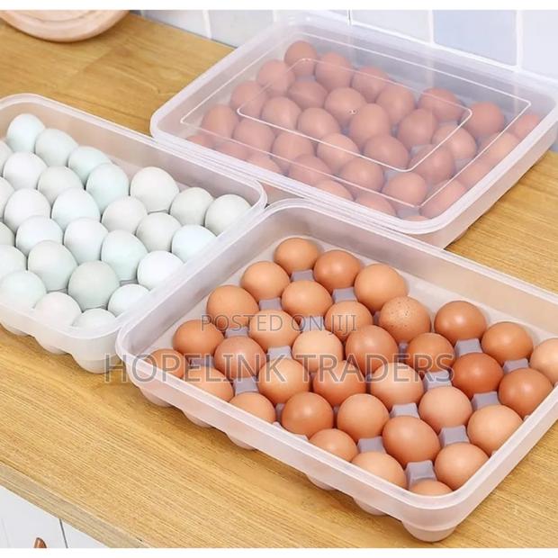 Egg Storage Containers 34eggs - main view