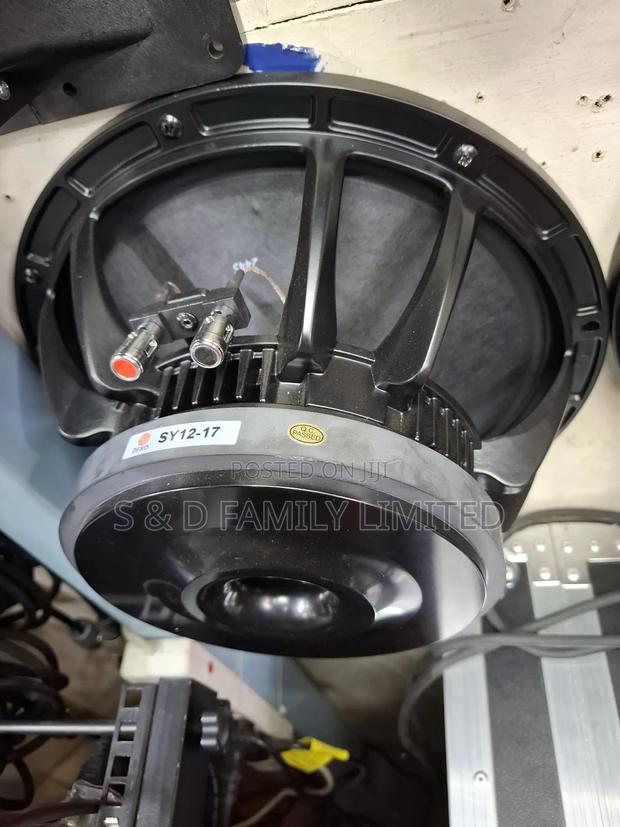 Dexo Sy12-17 12 Inch Naked Speaker