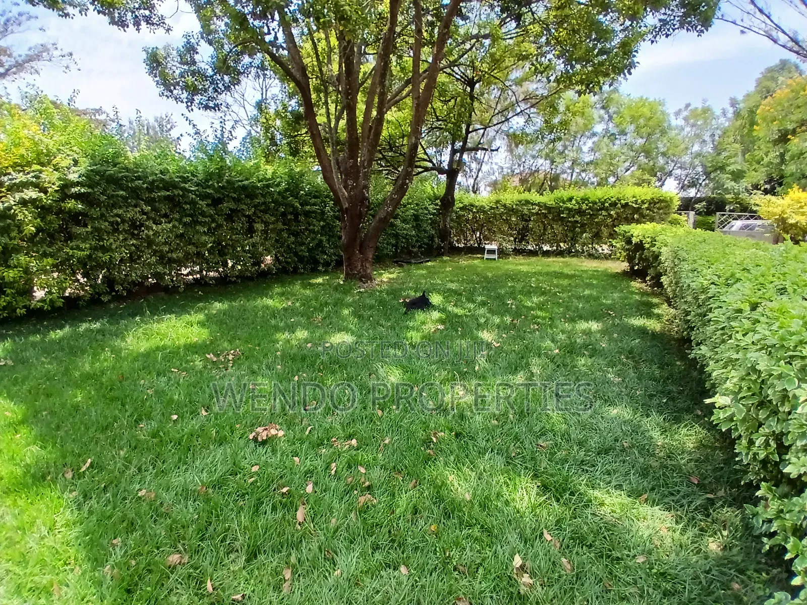 3bdrm Bungalow in Karen C for rent