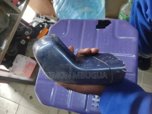 Nisn X Trail Nt30 Wing Mirror