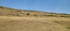 Prime Land With Beautiful Views