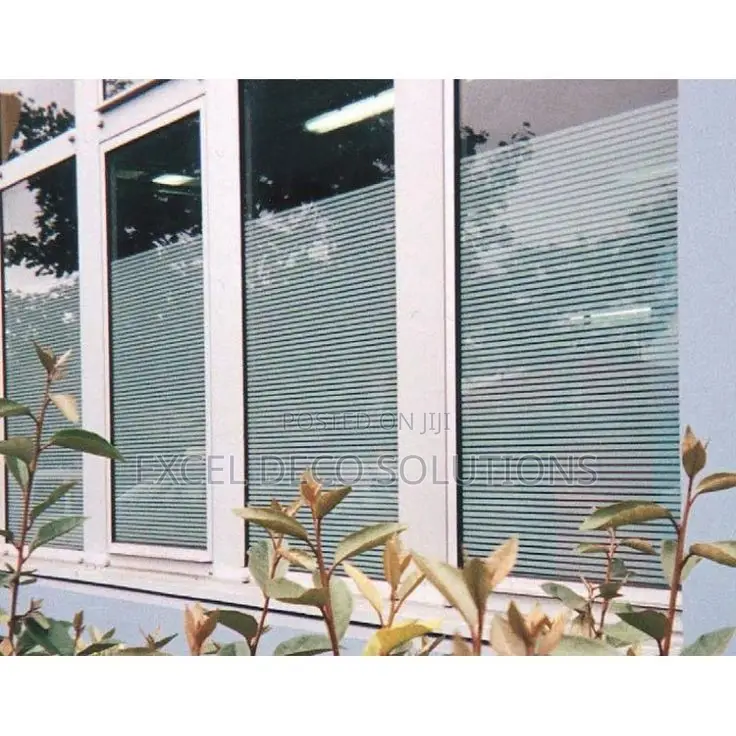 Elegant New Look Frosted Window Film
