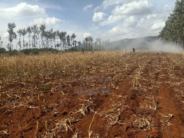 Prime Land Quick Sale - thumbnail 5