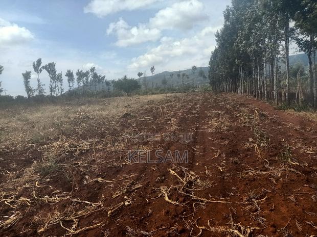 Prime Land Quick Sale - thumbnail 6