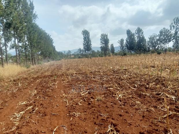 Prime Land Quick Sale - thumbnail 8