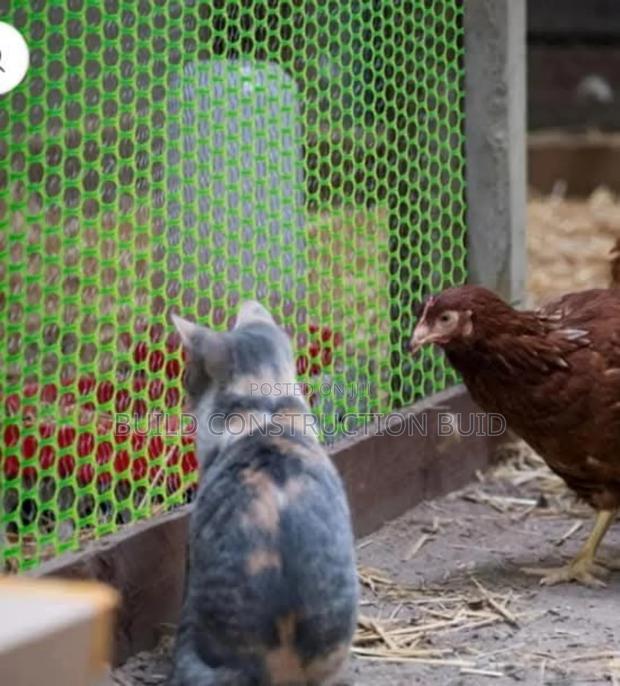Plastic Poultry Mesh 2×25m Roll - thumbnail 2