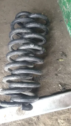 Toyota Wish Rear Coil Springs