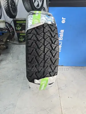 215/70r16 Petromax All-Terrain Tire