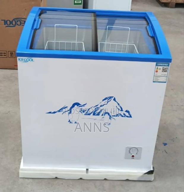 Icecool 150l Best Display Freezer