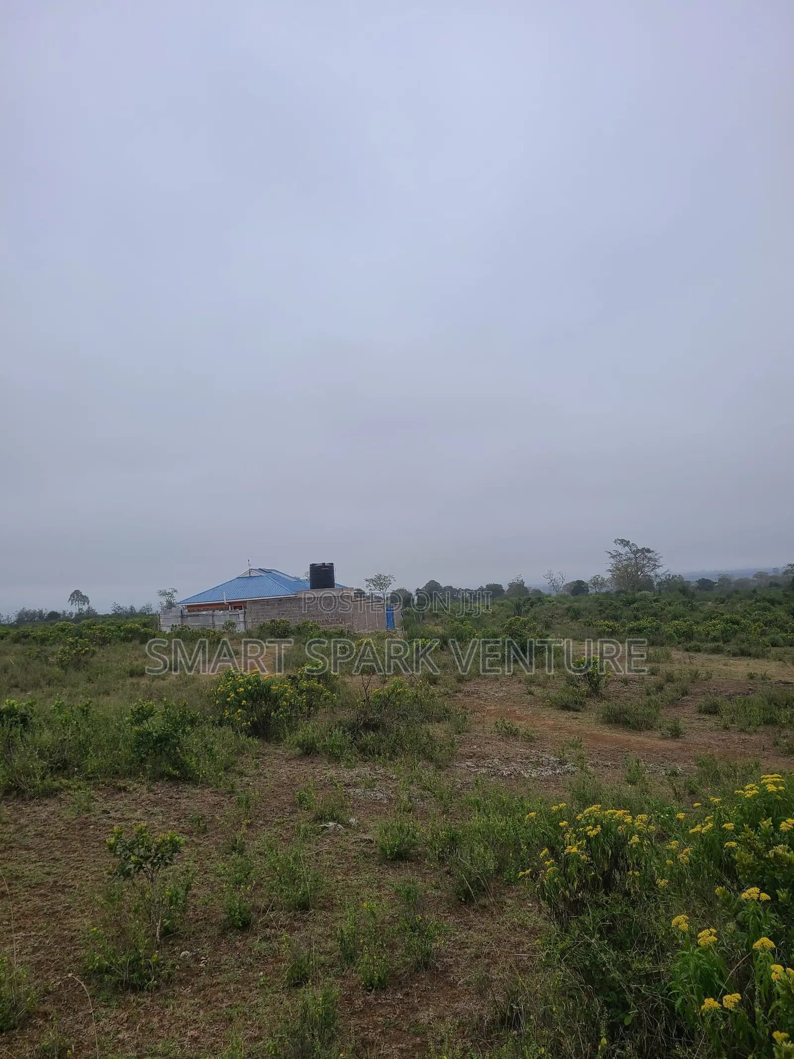 Plots for Sale 300 Meters Off Tarmac