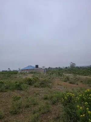 Plots for Sale 300 Meters Off Tarmac
