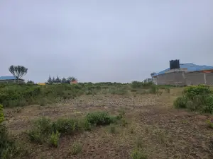 Plots for Sale 300 Meters Off Tarmac