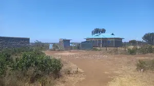 Plots for Sale 300 Meters Off Tarmac
