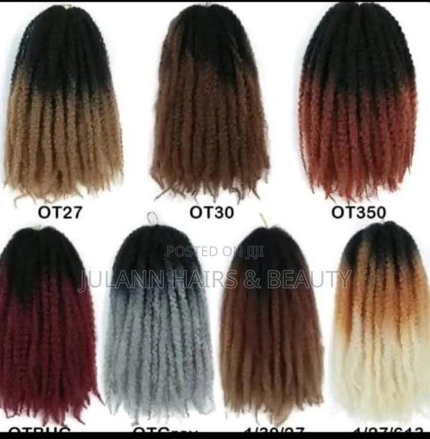 Nubian/Spring Twist, River Locs, Ombre Braids, Gypsy Locs