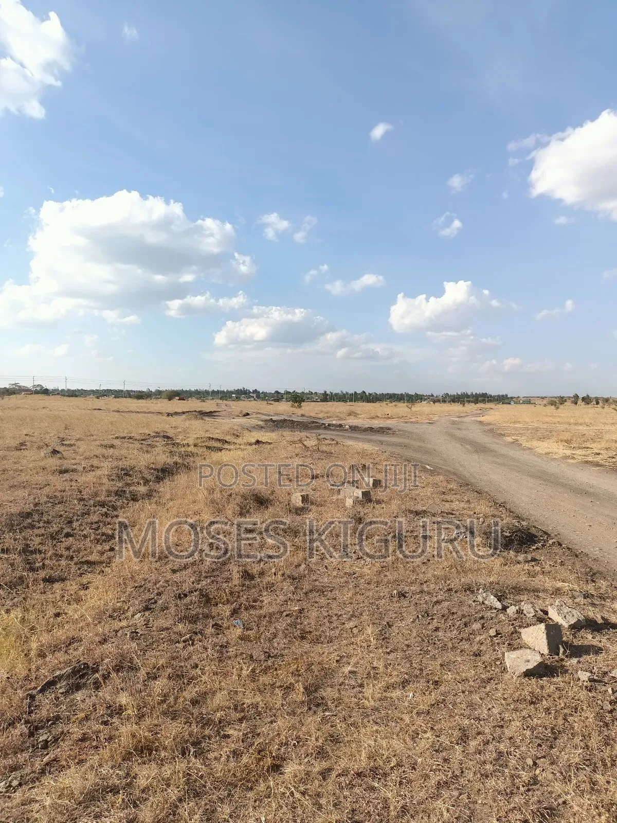 Muthaara 40x80 Plots.