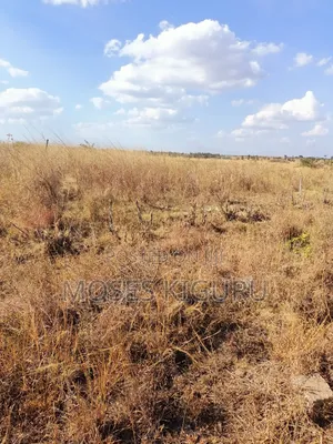 Muthaara 40x80 Plots.
