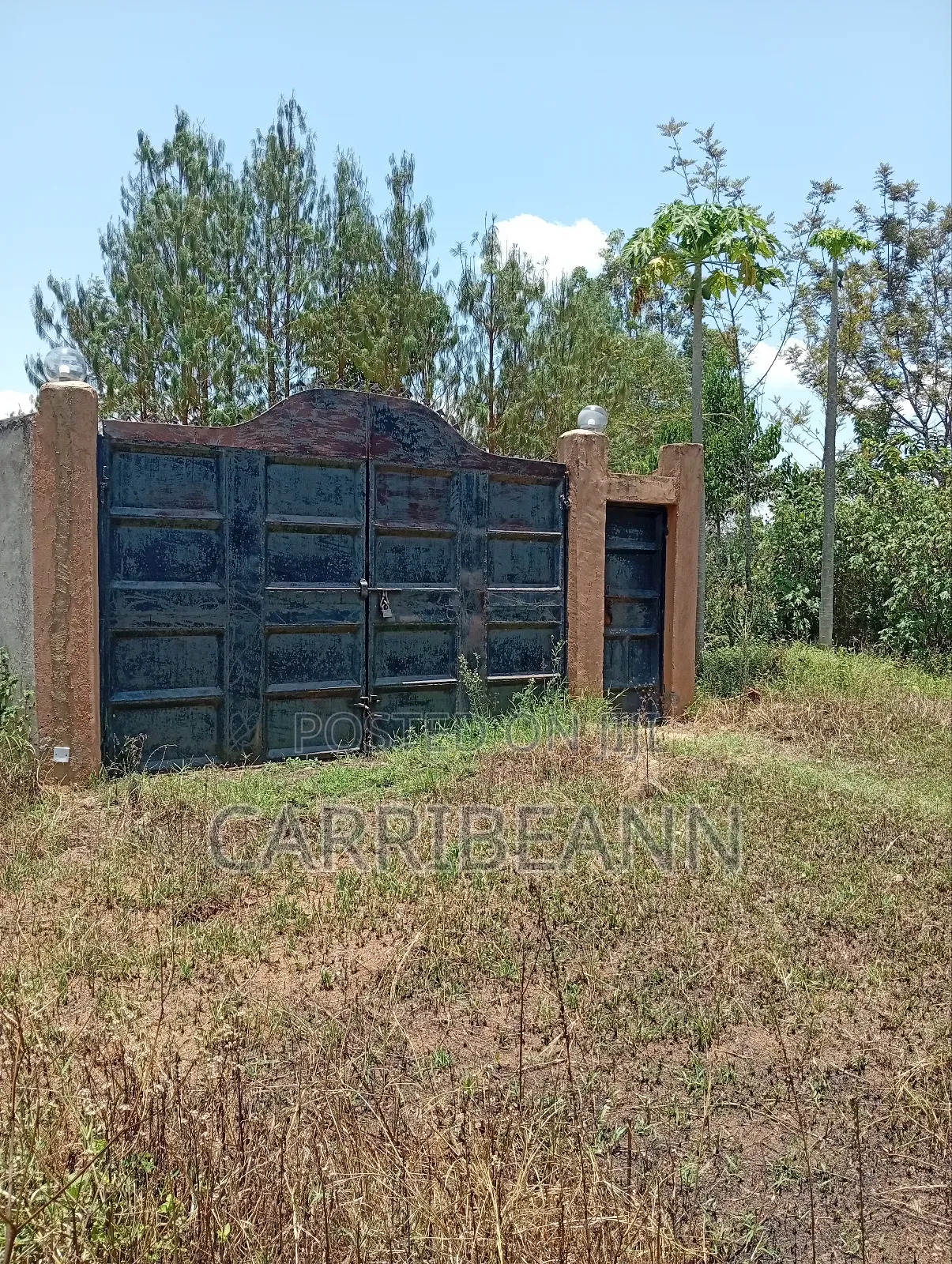 Property Land and House