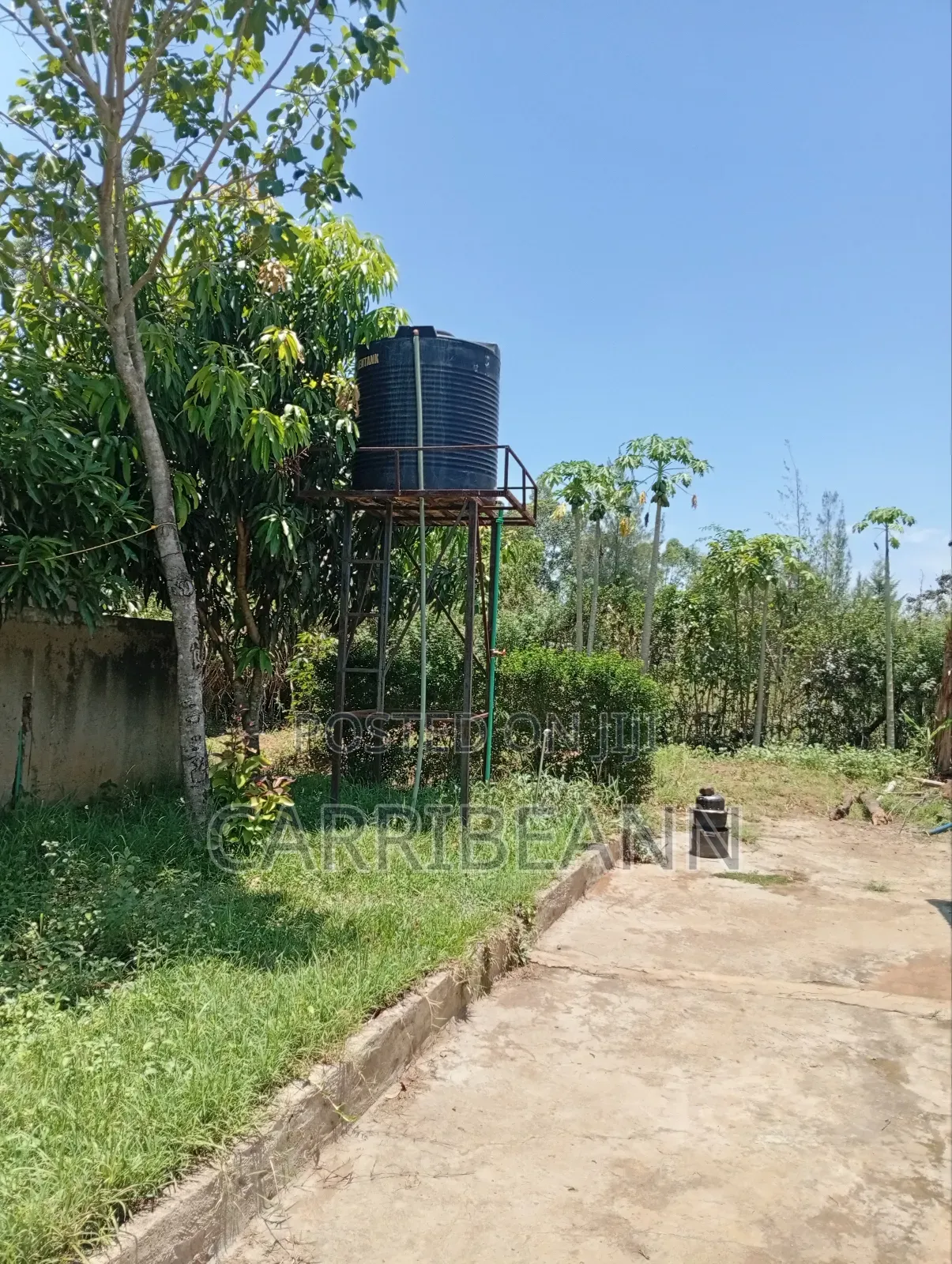 Property Land and House