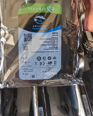 500gb Surveillance Hard Disk (Seagate