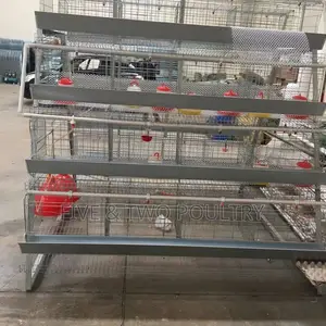 Chicken Cages 128birds