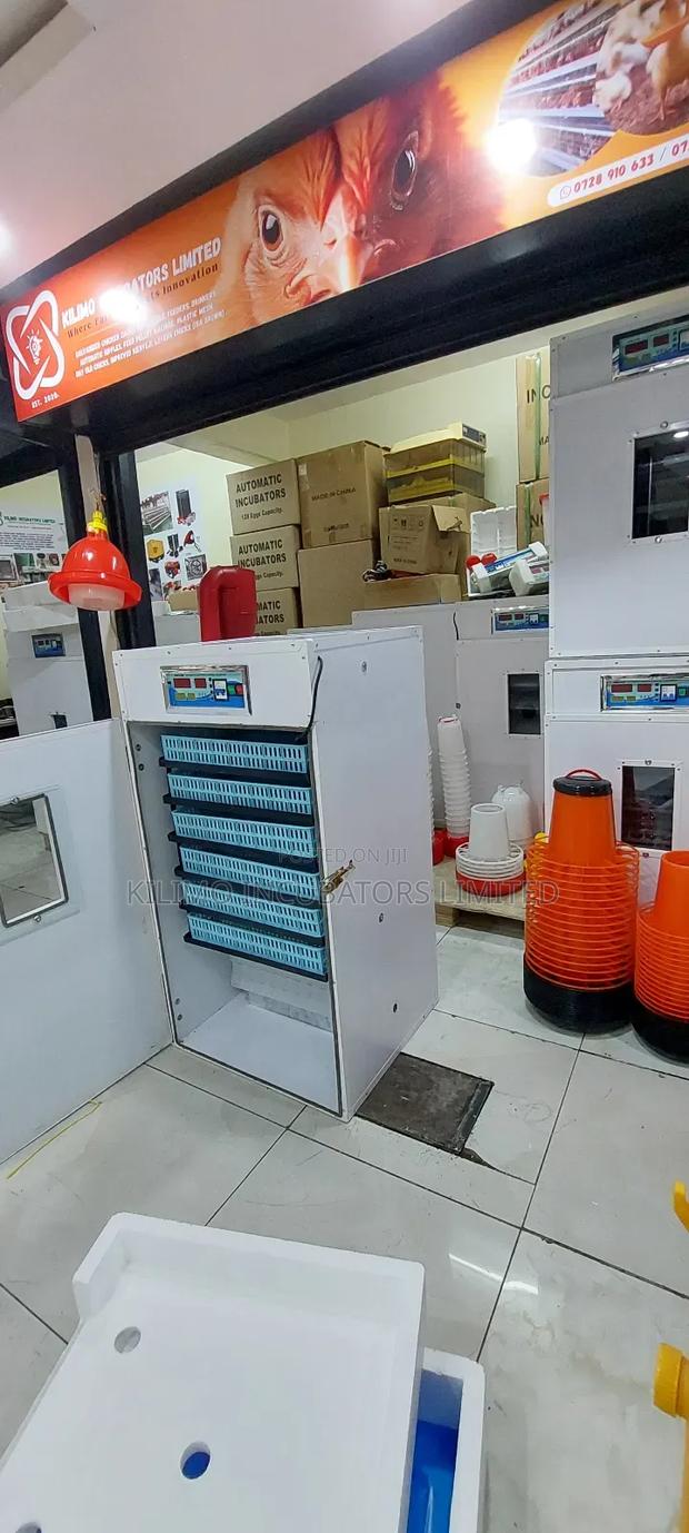 528 Incubator - thumbnail 2